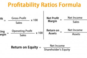 Profitability-Ratios-Formula-1.jpg